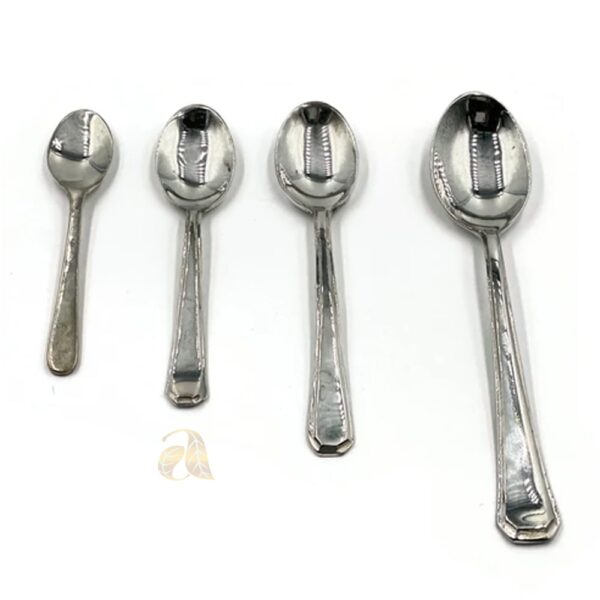 Silver Spoon2(2)