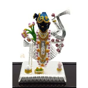 999 Pure Silver Srinath Ji Idol / Statue / Murti