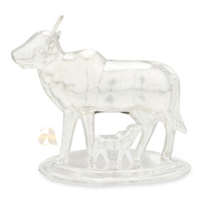 Cow & Calf!